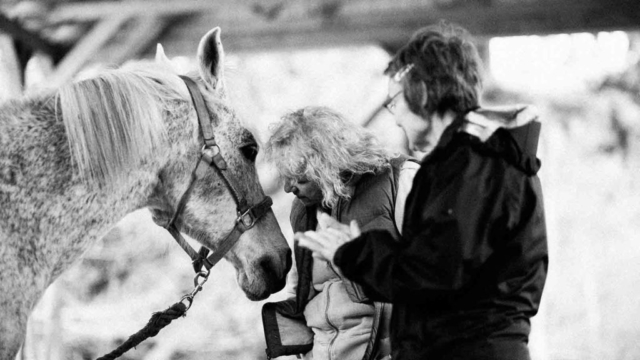 Rio-LA-Lynne-messaging Hug a Horse Program for Seniors