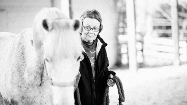 Rio-Lynne Hug a Horse Programs for seniors