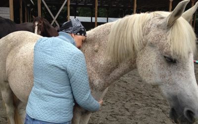 Healing Horses Help Women with Breast Cancer
