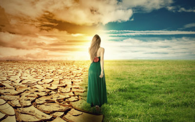 5 Things that if you practice consistently will change your life forever© (I promise!)
