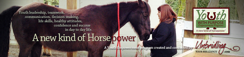 HorsePower Program for youth