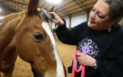 Breast cancer patients use horses for therapy