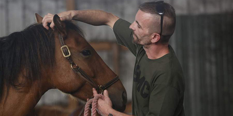 Veterans retake the reins with therapy horses