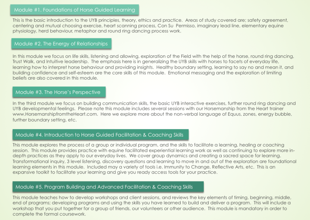 Unbridling Your Brilliance l 6 Month Intensive Equine Work