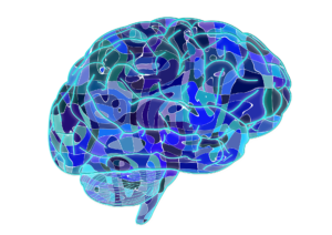 Use Brain Science to Bring out the Best
