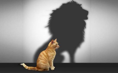 In Search of Self-Confidence: False vs. Authentic Confidence