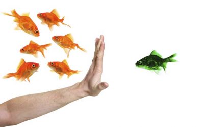 Defeating Skepticism: Shaking Personal Bias