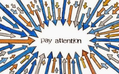 Noticing: An Elusive Leadership Skill
