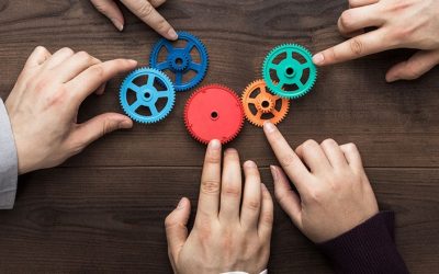 Consensus-Style Leadership: The Consensus Driven Character