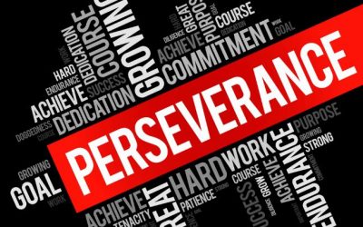 The Power of Perseverance