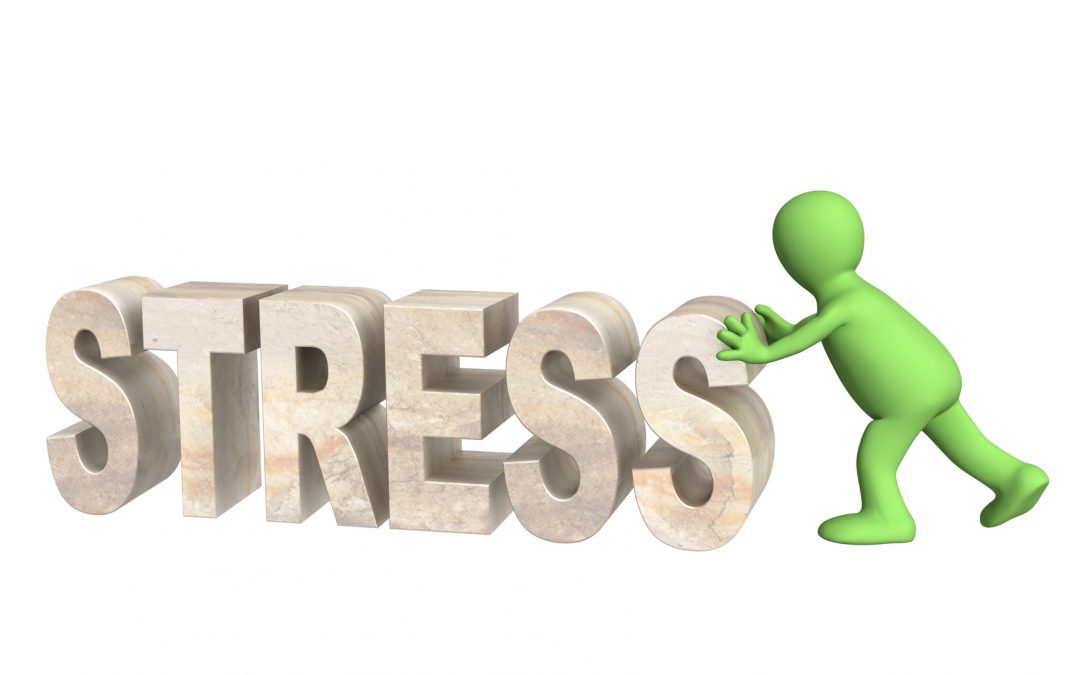 emotionally healthy leadership - enduring under stress