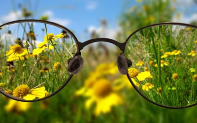Lead Better by Seeing More