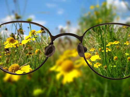 lead better by seeing more
